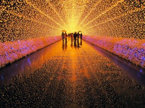 Winter Illuminations, Nabano No Sato Botanical Garden, Kuwana, Japan